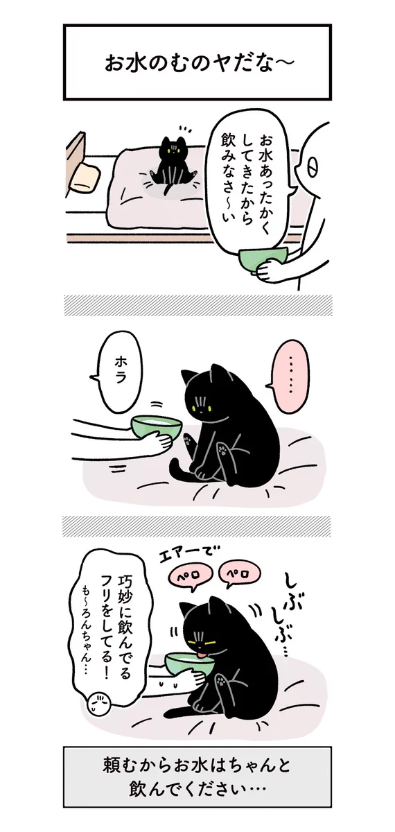 飼い主の苦労も猫には関係ない？愛猫の健康のためにお水を飲んでほしい絵日記!