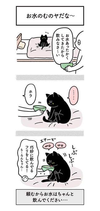 健康のためにちゃんとお水飲んでほしい飼い主と、たまに不条理なねこの絵日記(3まいある)#ろんの絵日記 