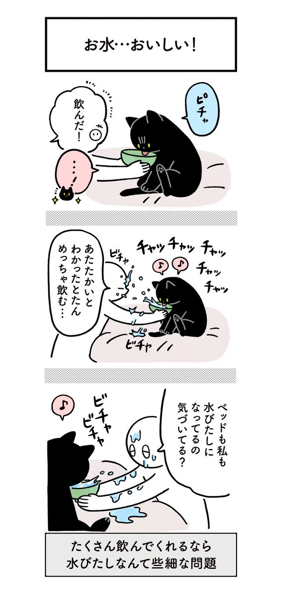 健康のためにちゃんとお水飲んでほしい飼い主と、たまに不条理なねこの絵日記(3まいある)
#ろんの絵日記 