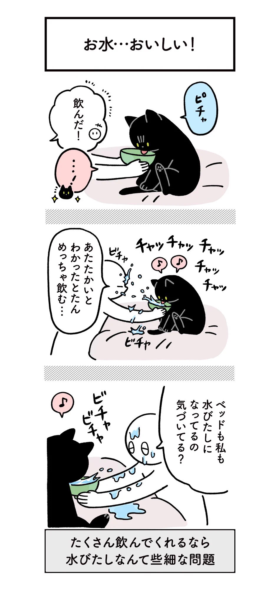 飼い主の苦労も猫には関係ない？愛猫の健康のためにお水を飲んでほしい絵日記!