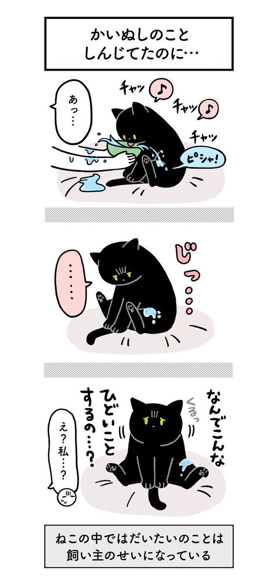 健康のためにちゃんとお水飲んでほしい飼い主と、たまに不条理なねこの絵日記(3まいある)
#ろんの絵日記 