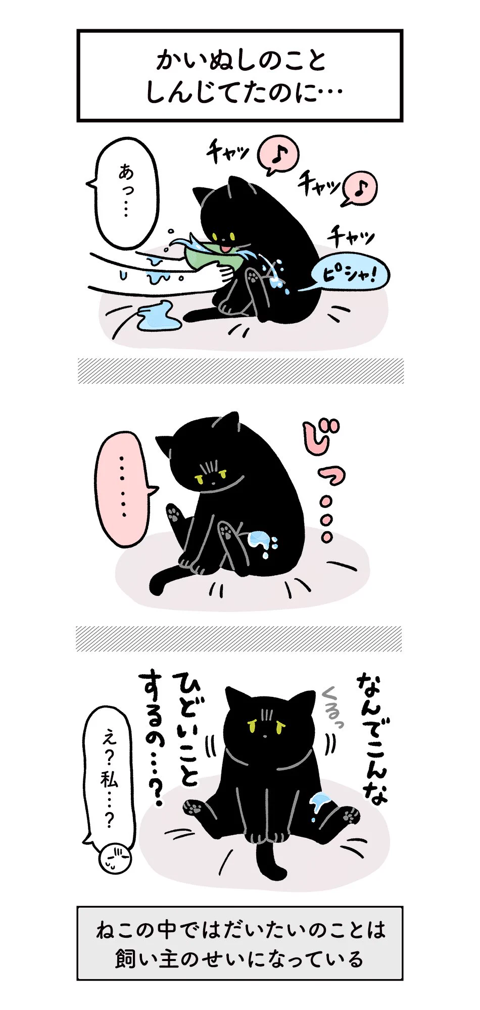 飼い主の苦労も猫には関係ない？愛猫の健康のためにお水を飲んでほしい絵日記!