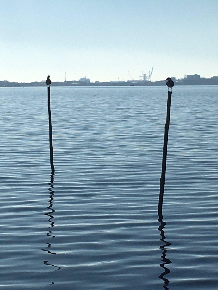 Le soleil quel plaisir 😜👌 #sète