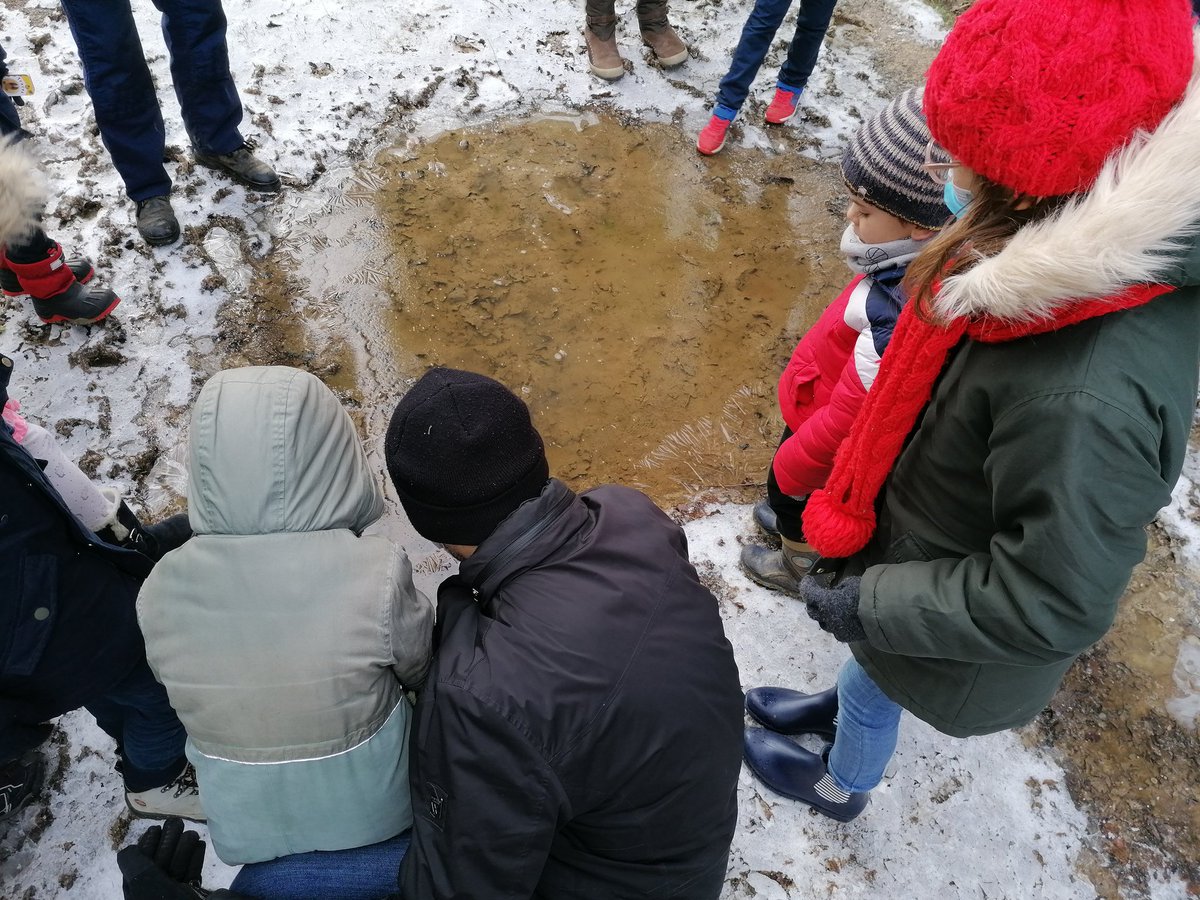 Une agréable sortie en forêt de Nuaillé, à la fraîche, à la recherche des indices sur ses animaux, avec #SamediFamilleNature. Une initiative de <a href="/choletagglo/">Cholet, Ville et Agglomération</a> <a href="/BaguenardO/">Baguenard olivier</a> #CholetlaFamiliale