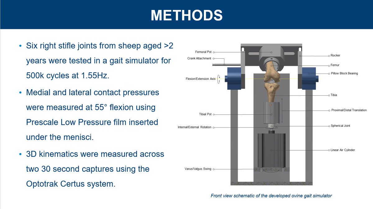 Kristina Bartolo (@mk_bartolo) on Twitter photo Excited to present our work on Ovine Knee Kinematics and Contact Pressures Measured in a Gait Simulator for Meniscus Replacement Evaluation at #ORS2021
Tune in here👇cattendee.abstractsonline.com/meeting/9235/P…
<a href="/sdsnewman/">SN</a> <a href="/OliDandridge/">Oliver Dandridge</a> <a href="/EProvaggi/">Elena Provaggi</a>
<a href="/OrthonikaMedtec/">Orthonika</a> <a href="/ICBiomechanics/">ImperialBiomechanics</a> <a href="/ORSsociety/">Orthopaedic Research Society</a> Excited to present our work on Ovine Knee Kinematics and Contact Pressures Measured in a Gait Simulator for Meniscus Replacement Evaluation at #ORS2021
Tune in here👇cattendee.abstractsonline.com/meeting/9235/P…
<a href="/sdsnewman/">SN</a> <a href="/OliDandridge/">Oliver Dandridge</a> <a href="/EProvaggi/">Elena Provaggi</a>
<a href="/OrthonikaMedtec/">Orthonika</a> <a href="/ICBiomechanics/">ImperialBiomechanics</a> <a href="/ORSsociety/">Orthopaedic Research Society</a>