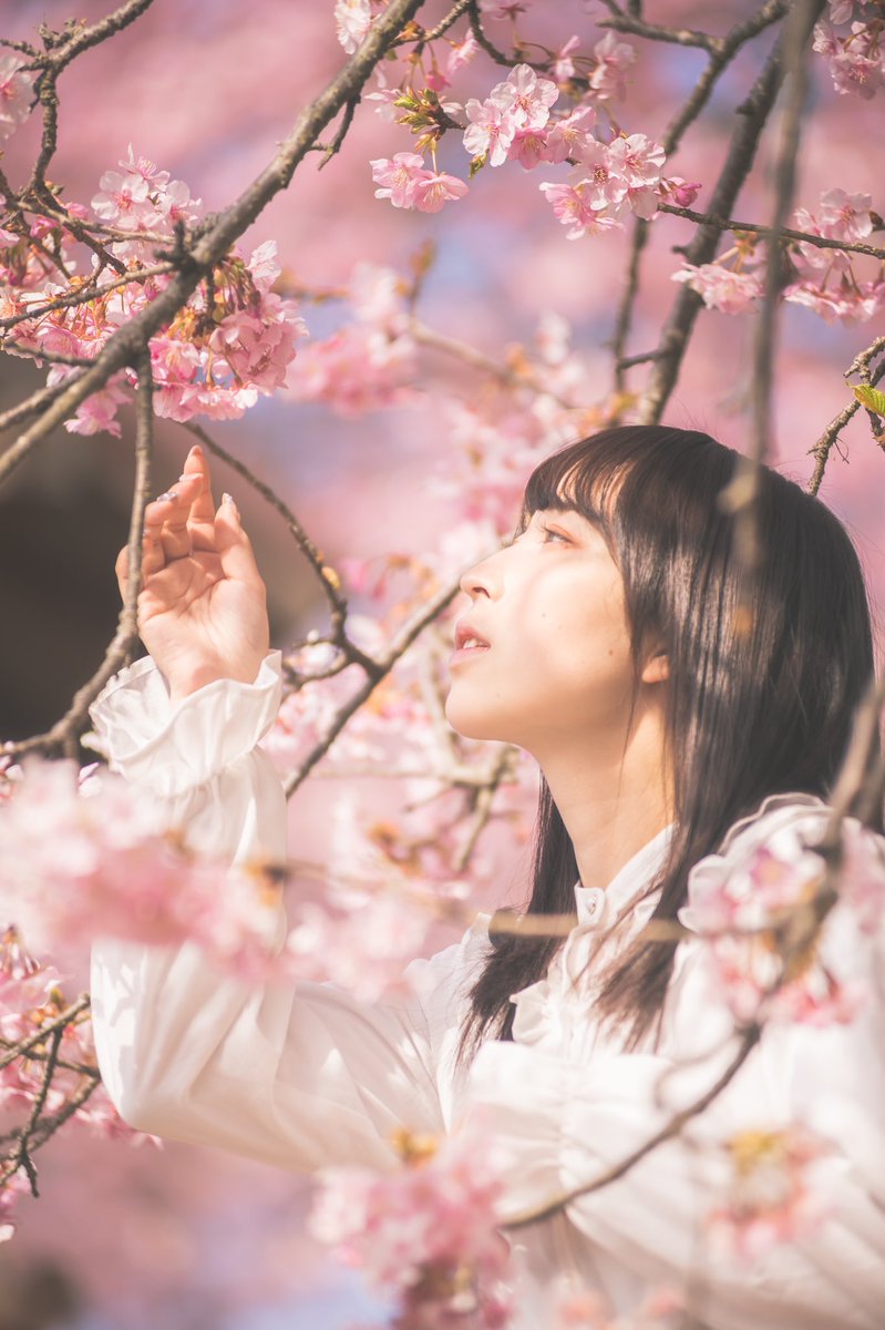 長い春の果てに