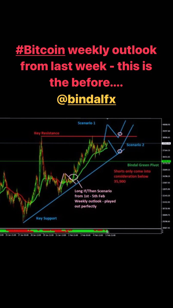 Bindal FX tweet media