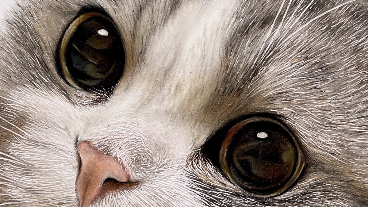 色鉛筆でにゃんこ描きました もふもふ っ W C 音海はる のイラスト