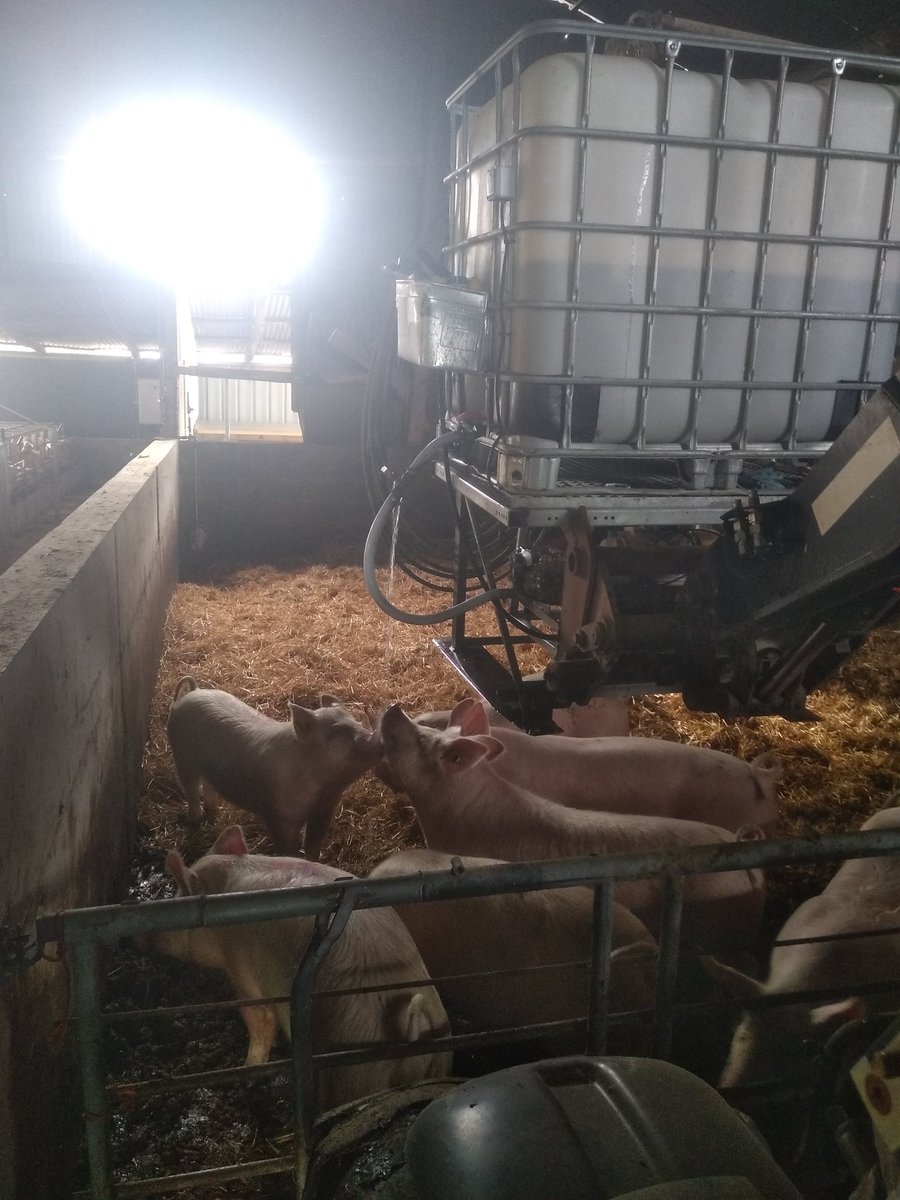Quand ça fait 3 jours que ça ne dégel pas dans les bâtiments et que les animaux ont soif. On abreuve les animaux avec la pompe de lavage.