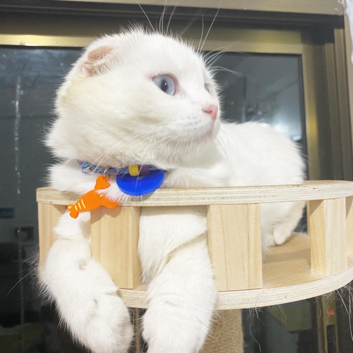 เดี๋ยวนี้นอนเก่งจริงๆเลยน้า