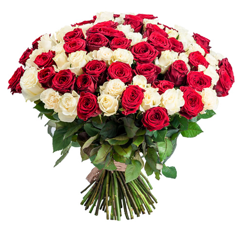 DaveGoulson's tweet photo. Hate to be a Valentine's day party pooper, but before you buy those pretty flowers, reflect that they may well have been grown as far away as Kenya, doused in pesticides and fertilizer, &amp; flown in on a refrigerated 'plane. There are many more sustainable ways to say 'I love you'. https://t.co/MTJ6NujfKK