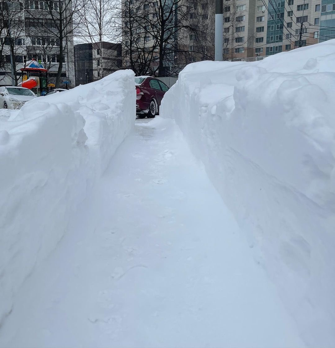 RSGovUK's tweet photo. #Moscow in the snow, isn't it beautiful!? 😍❄️ 

Record-breaking snowfalls blanket Moscow ☃️

#SnowDay #Russia🇷🇺 https://t.co/FVxuFkYMRN