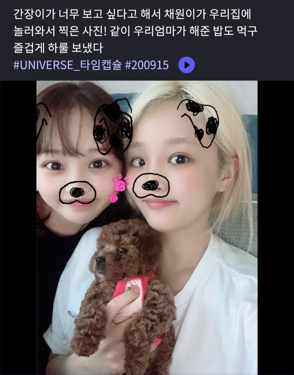 ssamchiving's tweet photo. 예나집가서 예나어머니 밥도 먹고 간장이한테 머리도 뜯겼구나 https://t.co/f8th26NUtl