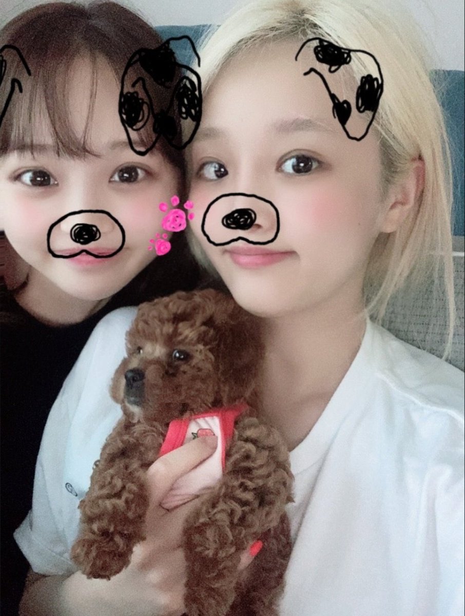 ssamchiving's tweet photo. 예나집가서 예나어머니 밥도 먹고 간장이한테 머리도 뜯겼구나 https://t.co/f8th26NUtl