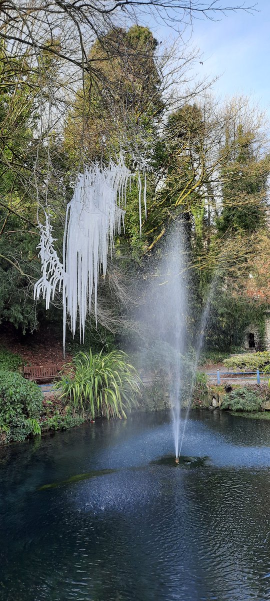 Kim Launert tweet media