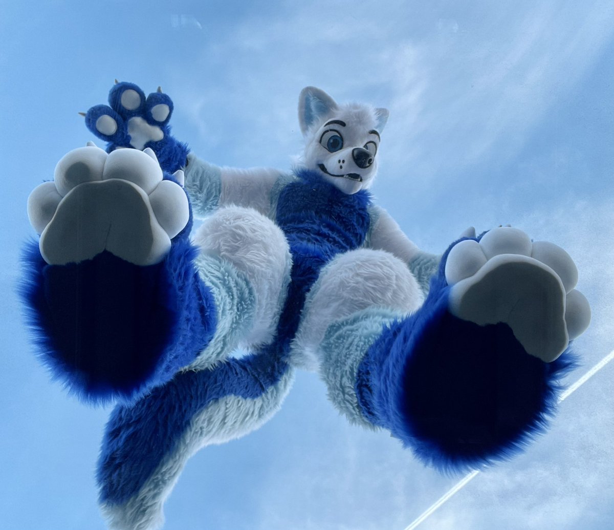 djemloup's tweet photo. Hello down there ! Your so small, you are adorable ! 🥰 Should I pick you up ? 

✂️ : @AlphaDogsStudio 
🐾 : @FurryFursuit_M https://t.co/gE54EZsNjC