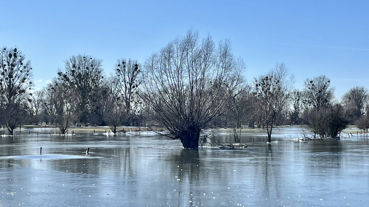 ofronk's tweet photo. Frozen flood at the Rhine by #düsseldorf https://t.co/rsW2MmQ2vF