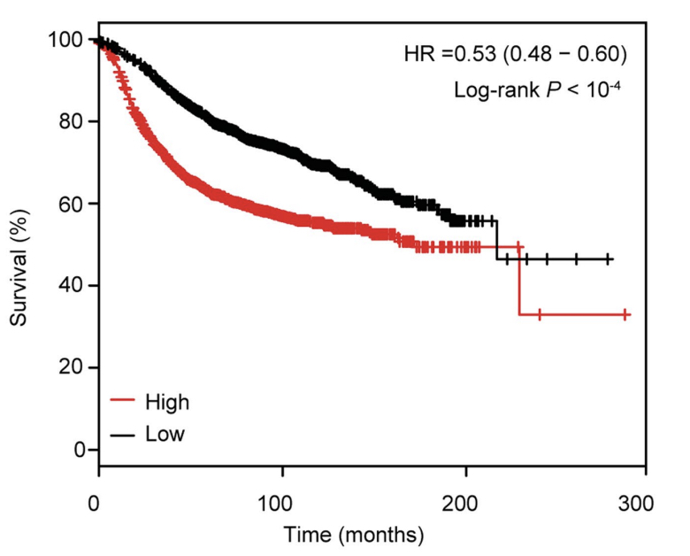 ROR1 up-regulated in metastases and expression predicts poor prognosis in breast cancer (n=4,029)