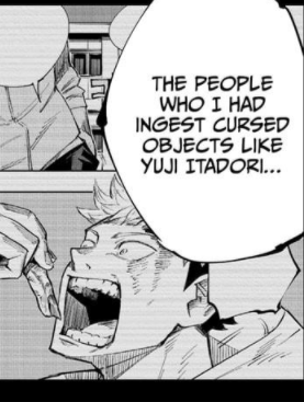 Tsumiki was one of the types of sorcerers Brain talked about. I believe she is someone who Brain had ingest a cursed object. 1 because after Brain released the seal he stated that some of them have been in deep slumber ever since they were exposed to his cursed energy.