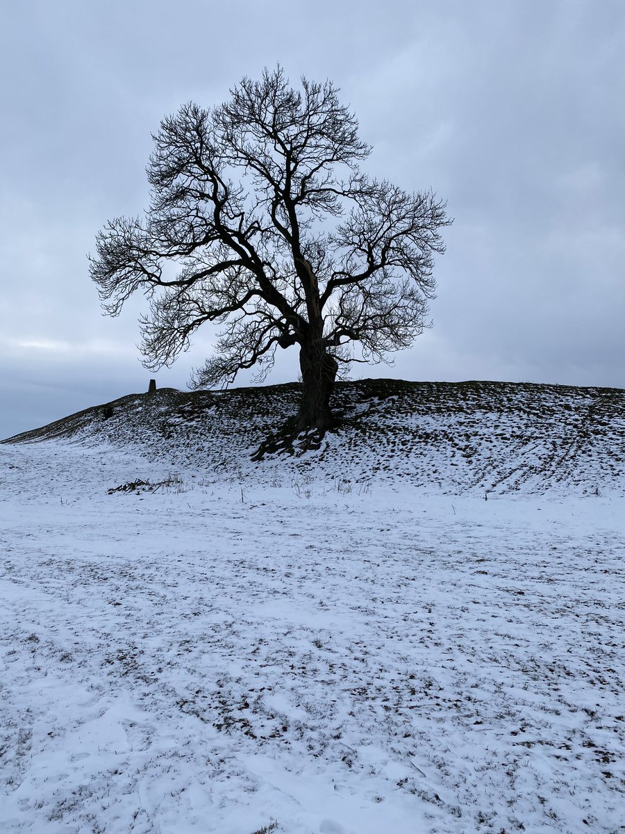 Burrough Hill tweet media