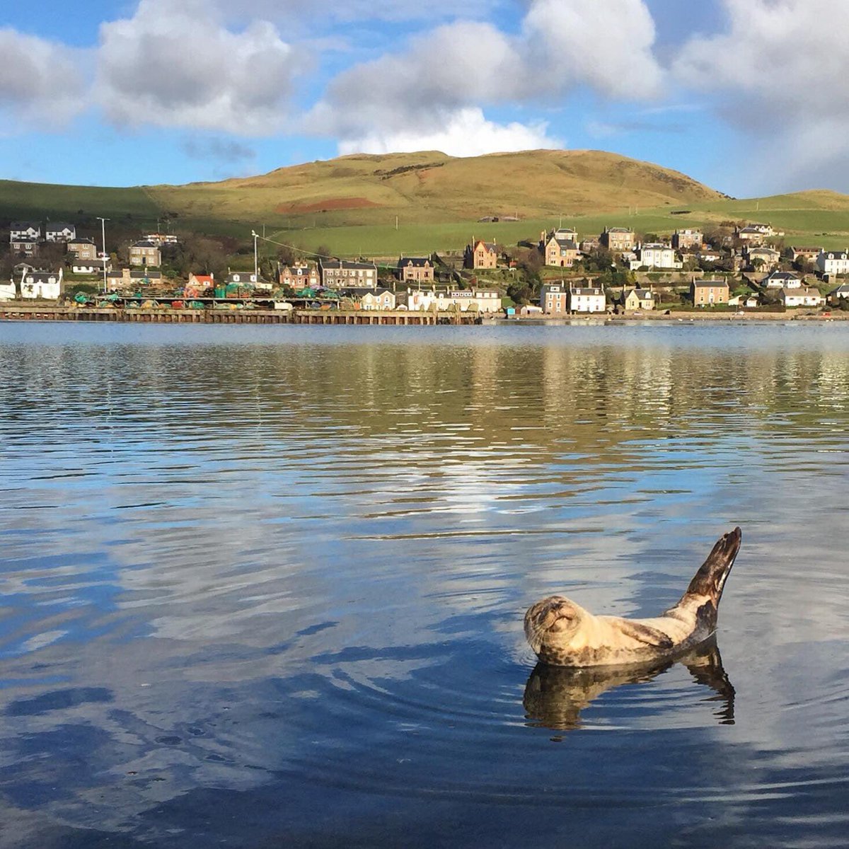 Kintyre Forum (@kintyreforum) on Twitter photo Smile! ๐. 5 years ago <a href="/Christiee_95/">Christie Middleton</a> took this wonderful photo of happiness! Campbeltown Loch <a href="/ExploreKintyre/">Explore Kintyre</a> <a href="/Explore_Ctown/">Explore Campbeltown</a> <a href="/argyllandbute/">Argyll and Bute Council</a> #campbeltown #kintyre #mullofkintyre #argyll #Scotland Smile! ๐. 5 years ago <a href="/Christiee_95/">Christie Middleton</a> took this wonderful photo of happiness! Campbeltown Loch <a href="/ExploreKintyre/">Explore Kintyre</a> <a href="/Explore_Ctown/">Explore Campbeltown</a> <a href="/argyllandbute/">Argyll and Bute Council</a> #campbeltown #kintyre #mullofkintyre #argyll #Scotland