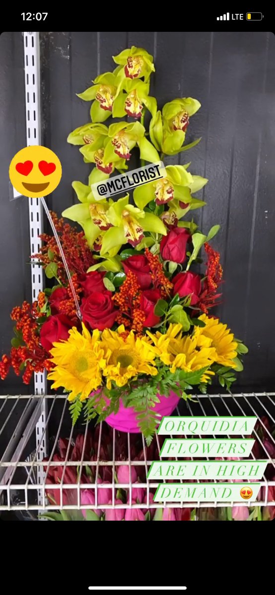 MCFlorist's tweet photo. ONLY AT YOUR FAVORITE FLOWER SHOP 😍💐✨🌸🌻🌹

PLACE YOUR PRE ORDER TODAY! 
125 Port Richmond Avenue, Staten Island NY 10302.😊 https://t.co/YmyFPClabr