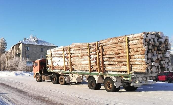 водитель лесовоза вакансии. Scania p380 сортиментовоз. деревья нижнеилимского района иркутской. Scania p380 6x4. камаз 5262 лесовоз.