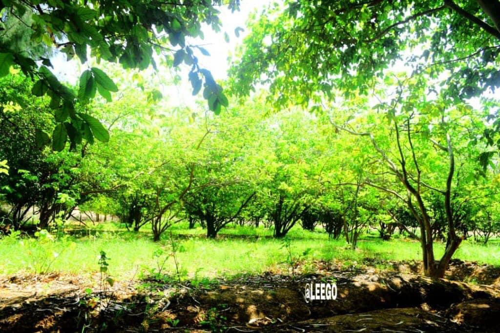 5. Sool region.Sool region is bordered by Togdheer, Sanaag, Bari, Nugaal regions and DDS. The capital city of the region is Las Anod. Major towns in the region are Las Anod and Taleh. Sool was historically the base of the anti-colonial Dervish movement.