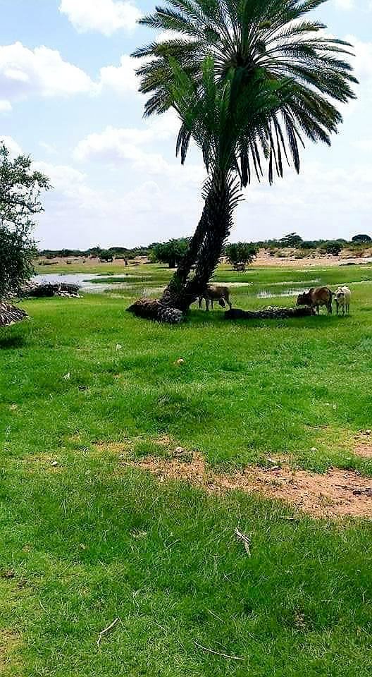 9. Galgaduud region.Galgaduud region is bordered by DDS, and Mudug, Hiraan, Middle Shabelle regions and Indian Ocean. The capital city of the region is Dusamareb AKA Samareeb. Major towns in the region are Dusamareb, Abud-waq and Adado.