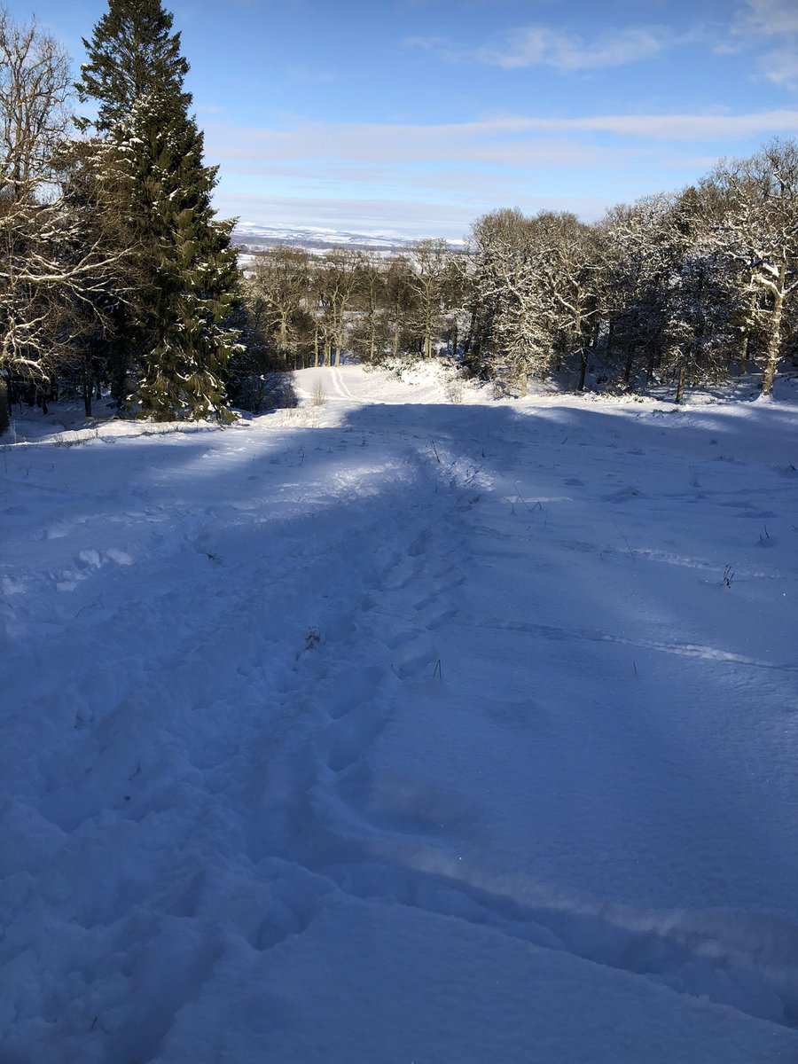 TransformZero's tweet photo. Doubt this weather is to do with climate change but itβs been beautiful all the same π
#Perth #climatechange #tayside #scotlandsnow https://t.co/JShzAzMeIu