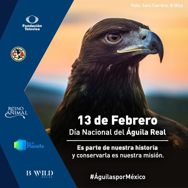 Es parte de nuestra historia y conservarla nuestra misión