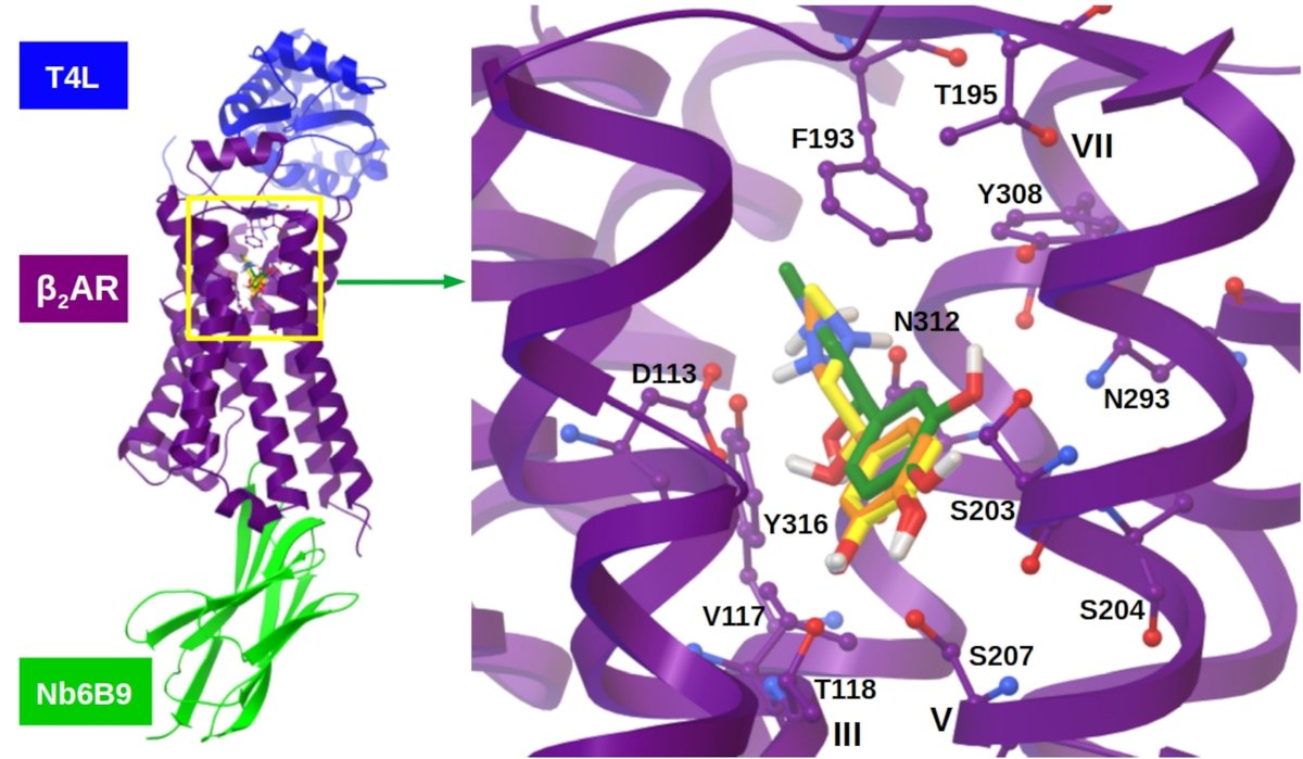 Andrea Catte tweet media