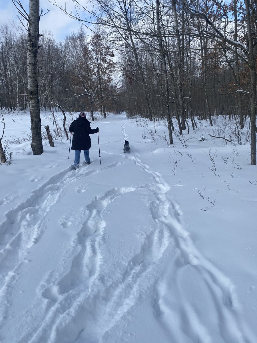 charleslbrooks's tweet photo. Quite enjoyed a a nice snowshoe outing with Cheri and Kora. Snow was chest-deep on Kora. #funinsnow https://t.co/kdkcrGfIgw