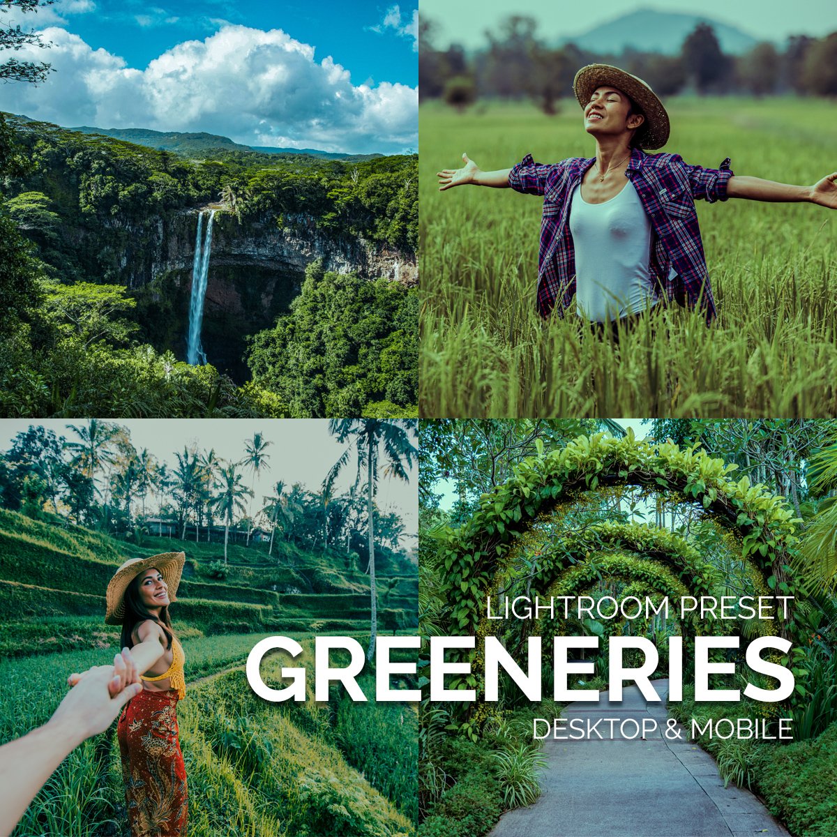 Pitra  tweet media