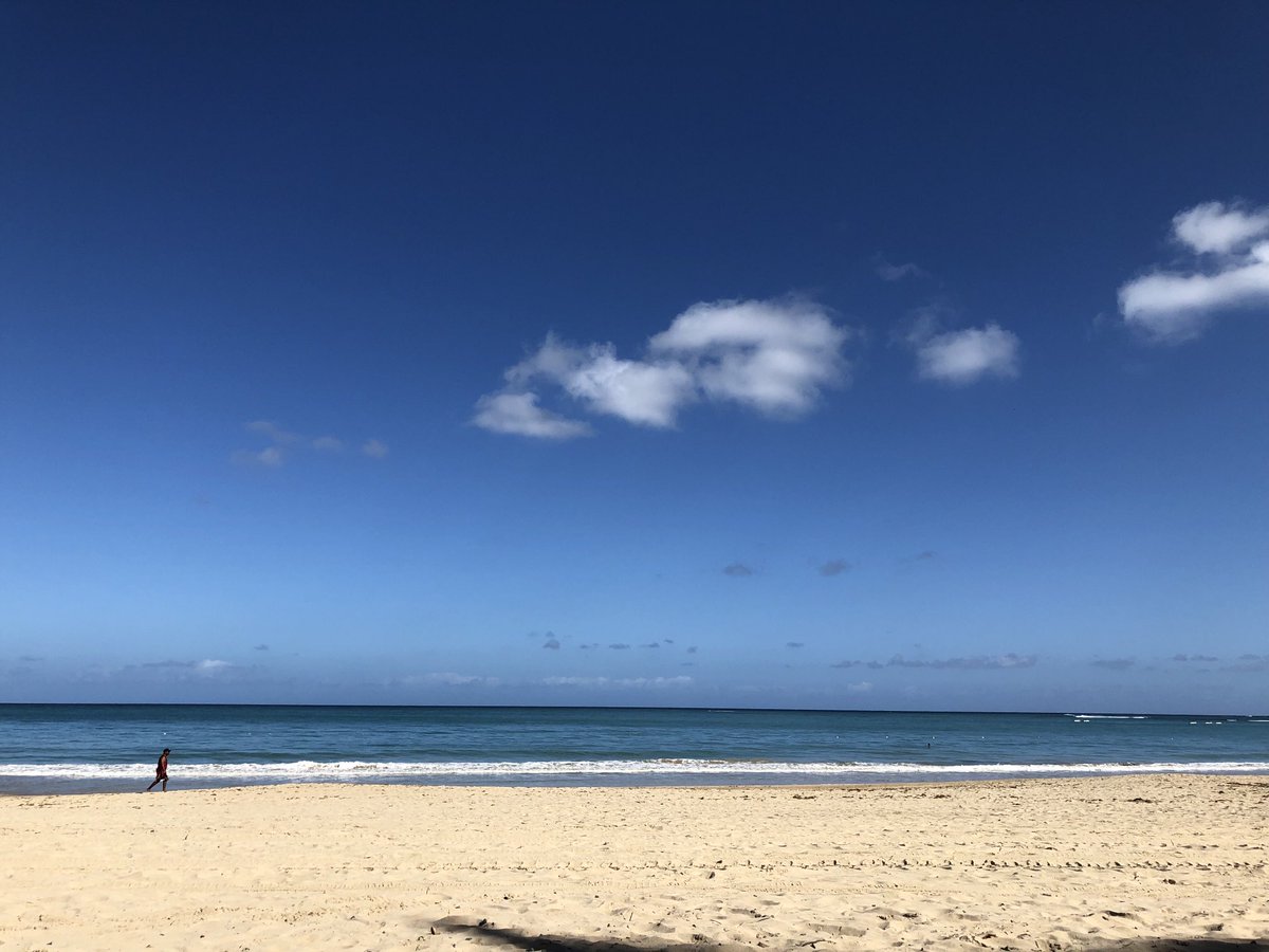 Harlan Jones tweet media