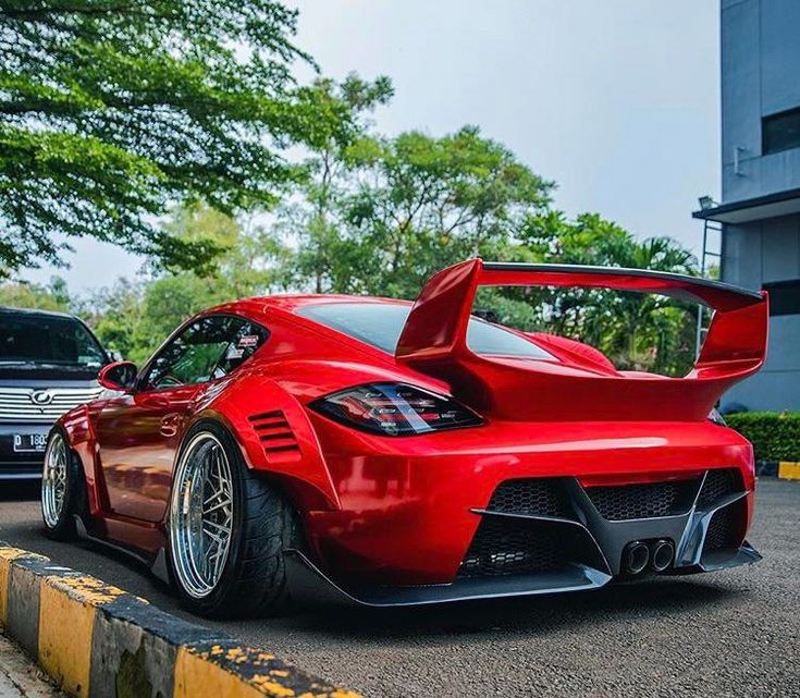 Jordan92338366's tweet photo. Wild little Cayman...👍 https://t.co/XQ4nvllVng