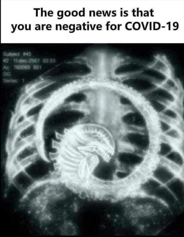 psychosekte's tweet photo. + + + GOOD NEWS + + +
#Alien #Covid19 #HRGiger #HRGigerInside #AlienInside #Giger #GoodNews #GoofNews #AlienInvasion #KeepCalm 🦐 https://t.co/BJvfJYcGBI