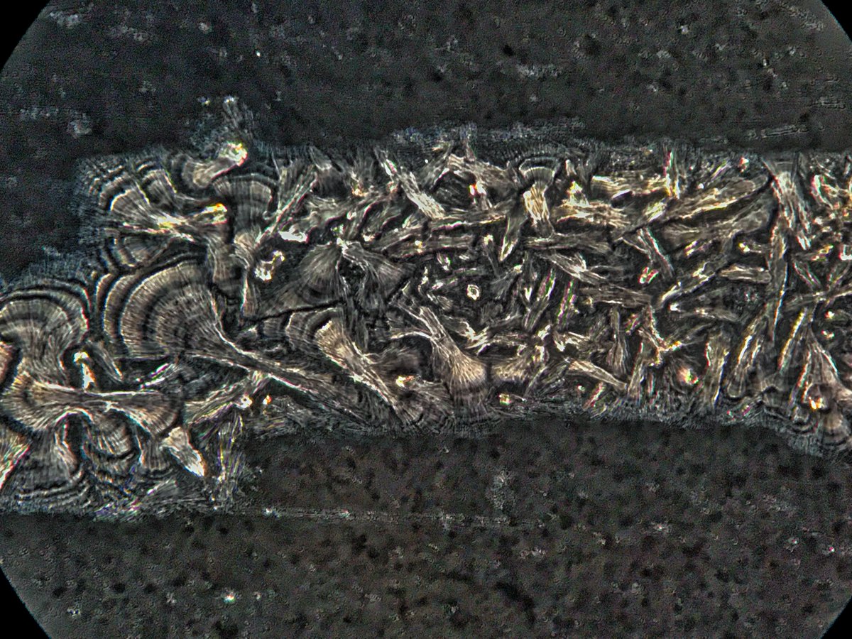 Simon Sublime tweet media