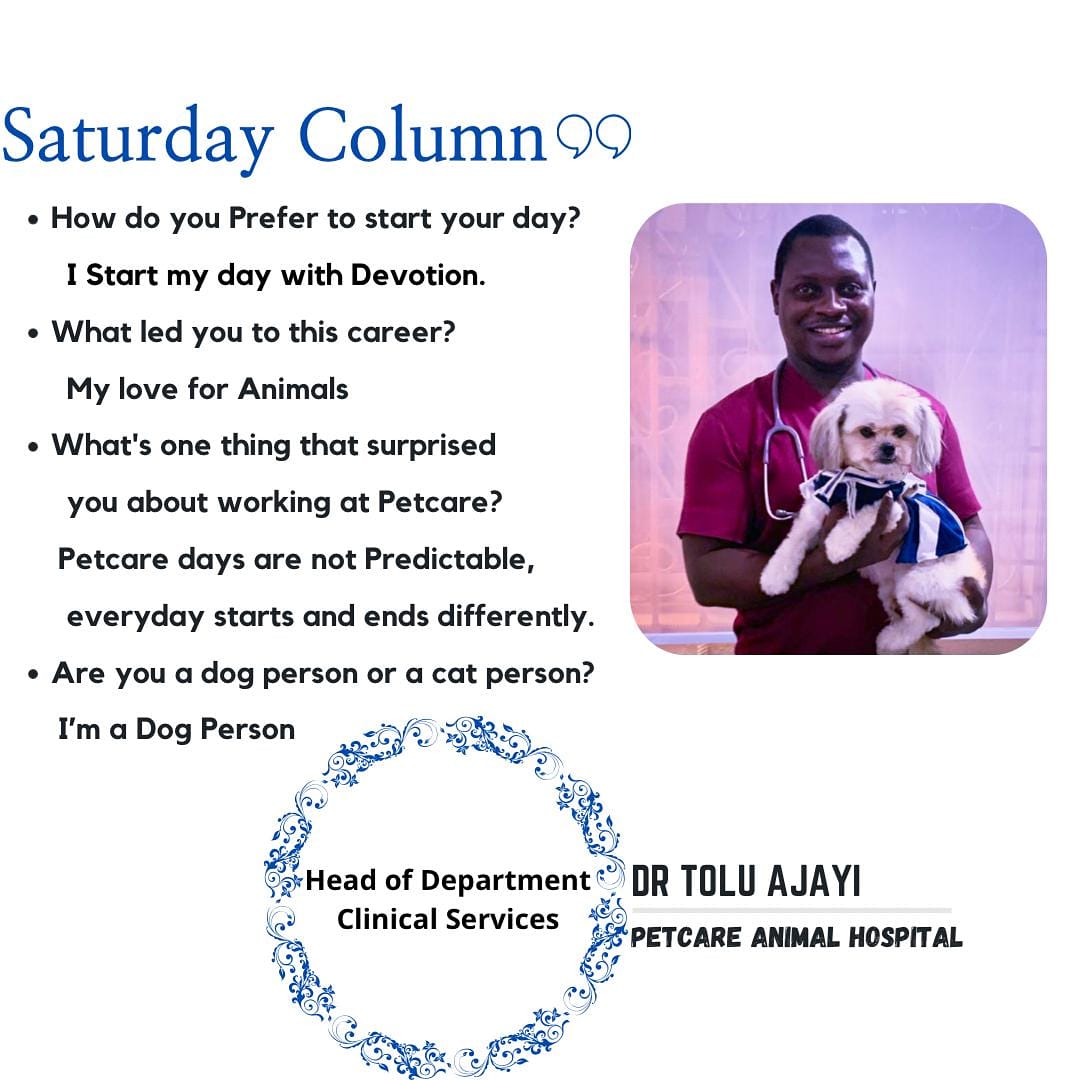 Petcare Animal Hospital (@Petcarengr) / Twitter Petcare Animal Hospital (@Petcarengr) / Twitter
