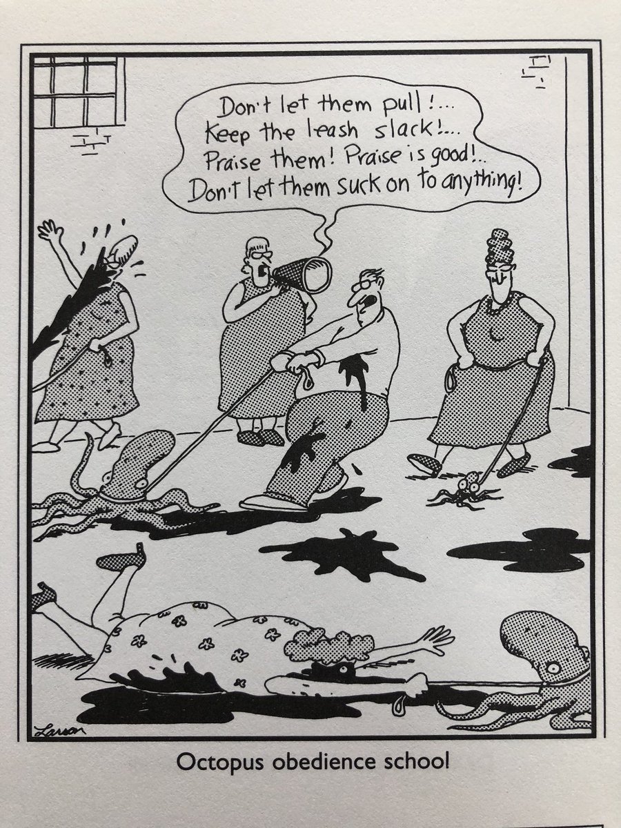 Thomas Ragon tweet media