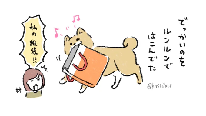 今日? #豆しばこつぶの日常 