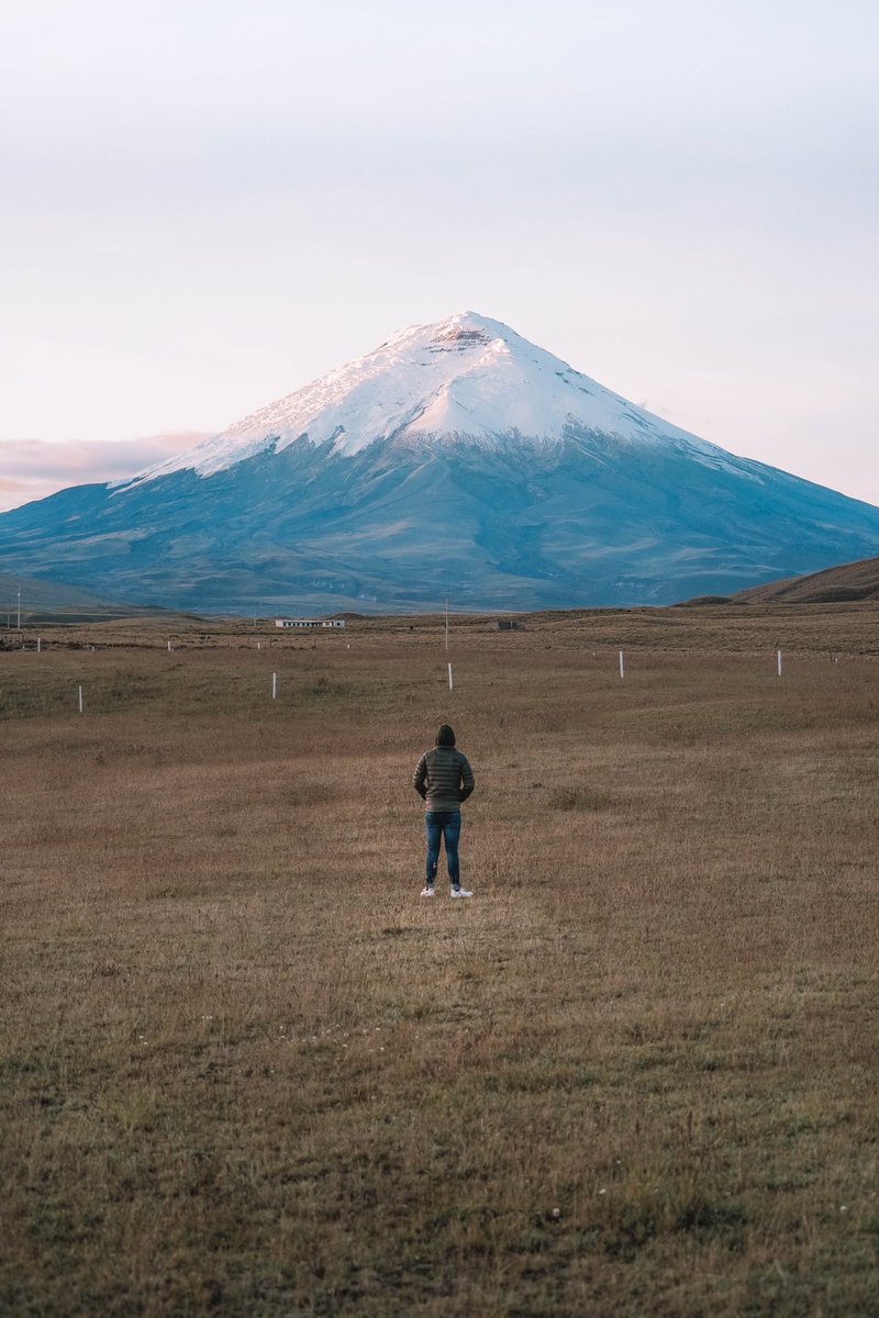 RichardCarapazM's tweet photo. Por muy alta que sea una montaña, siempre hay un camino hacia la cima 👊🏽🗻 https://t.co/0y2XyZkhgd