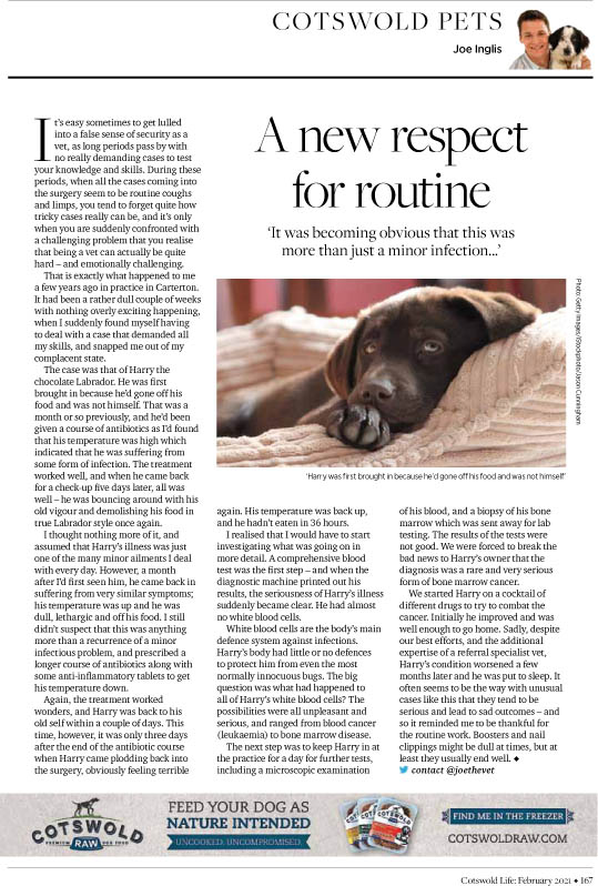 cotswoldlife's tweet photo. Meet the Cotswold Life family of columnists #5: Animal magic with media vet and chef to pets @joethevet https://t.co/8nbw7VfmcM
