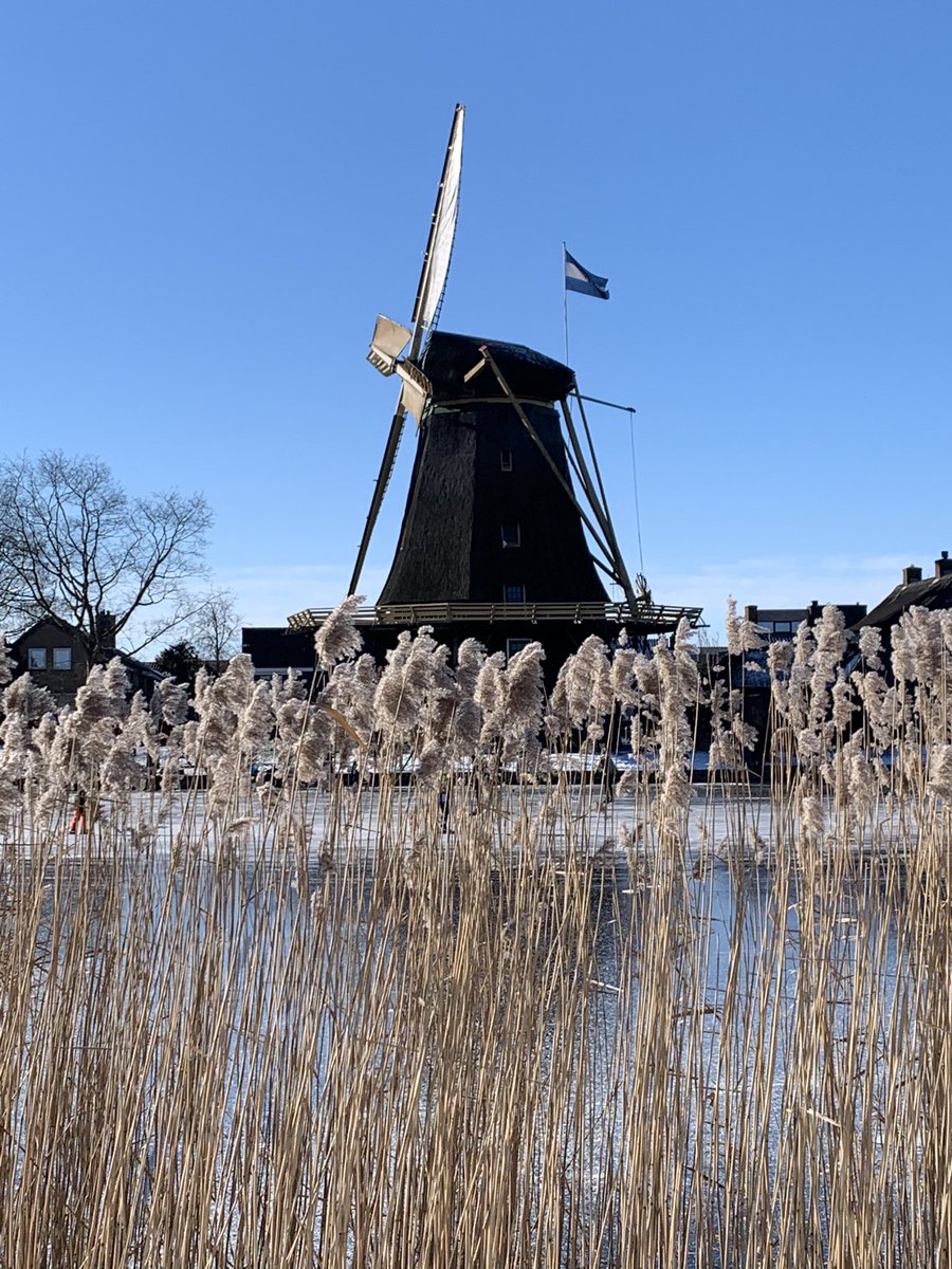 ienemaxio's tweet image. Mooi #weesp