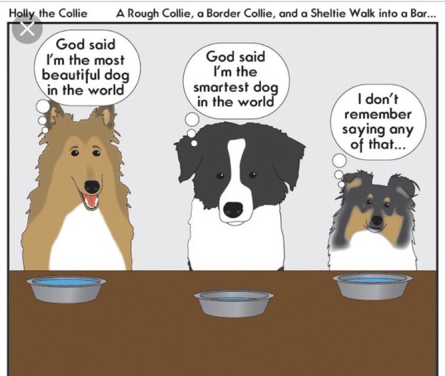 CyberMax 🌊🐗🐾🐶🌊🇺🇸 tweet media