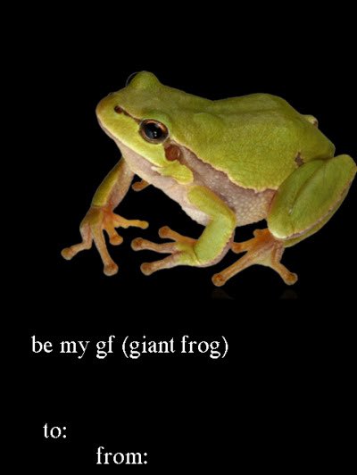 thread of valentines cards you should send your loved ones tomorrow : (some are a bit nsfw btw!)