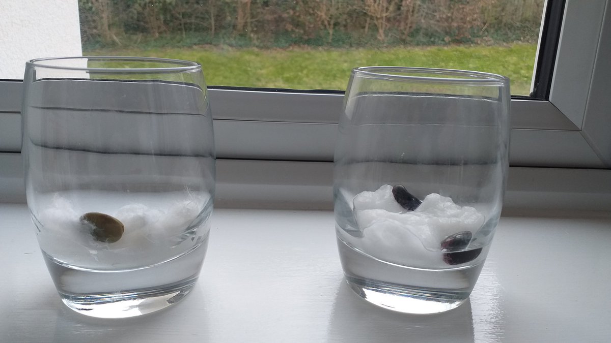 LisaAlTaylor's tweet image. A big thankyou to @LancsLearning for this afternoons family session - Sow and Grow together. Both children and I had so much fun 👍