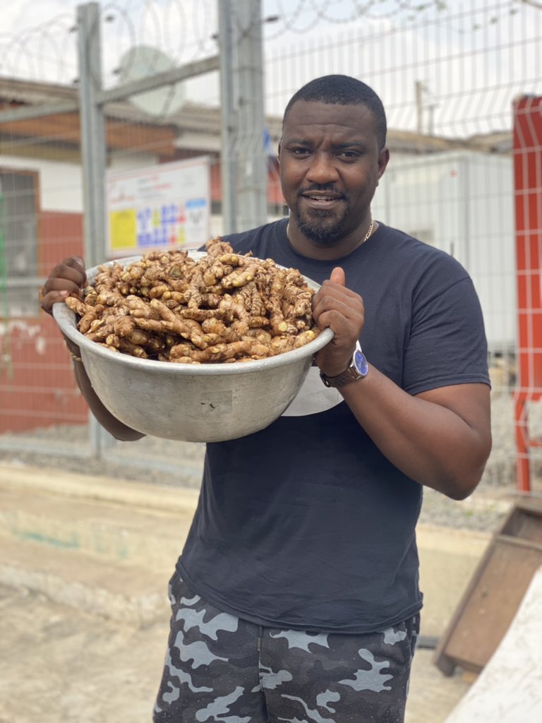 johndumelo's tweet image. Fresh ginger from my farms. Each pack( approx 6kg) is 50gh and the sack goes for 300gh. Pls dm for purchase. 🙏🏿