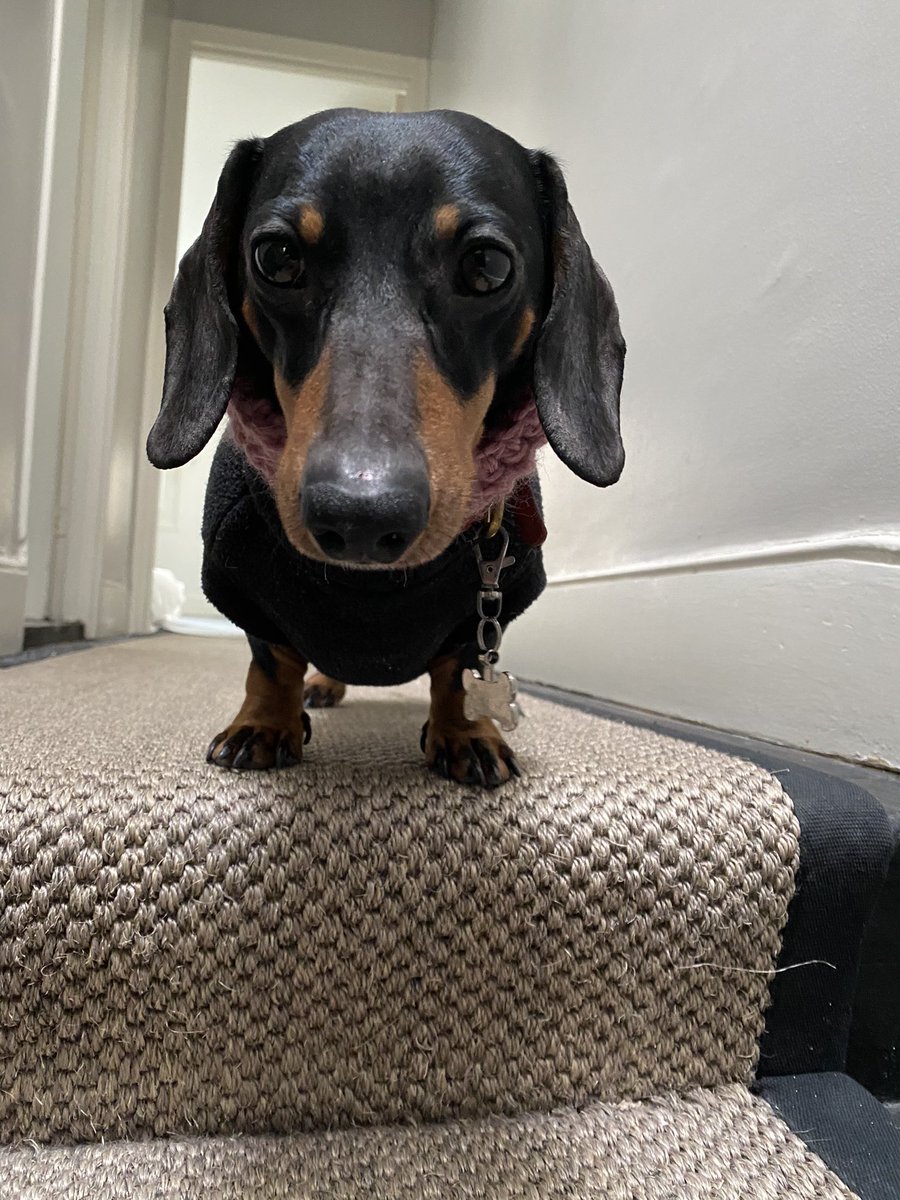 “You are so incompetent”