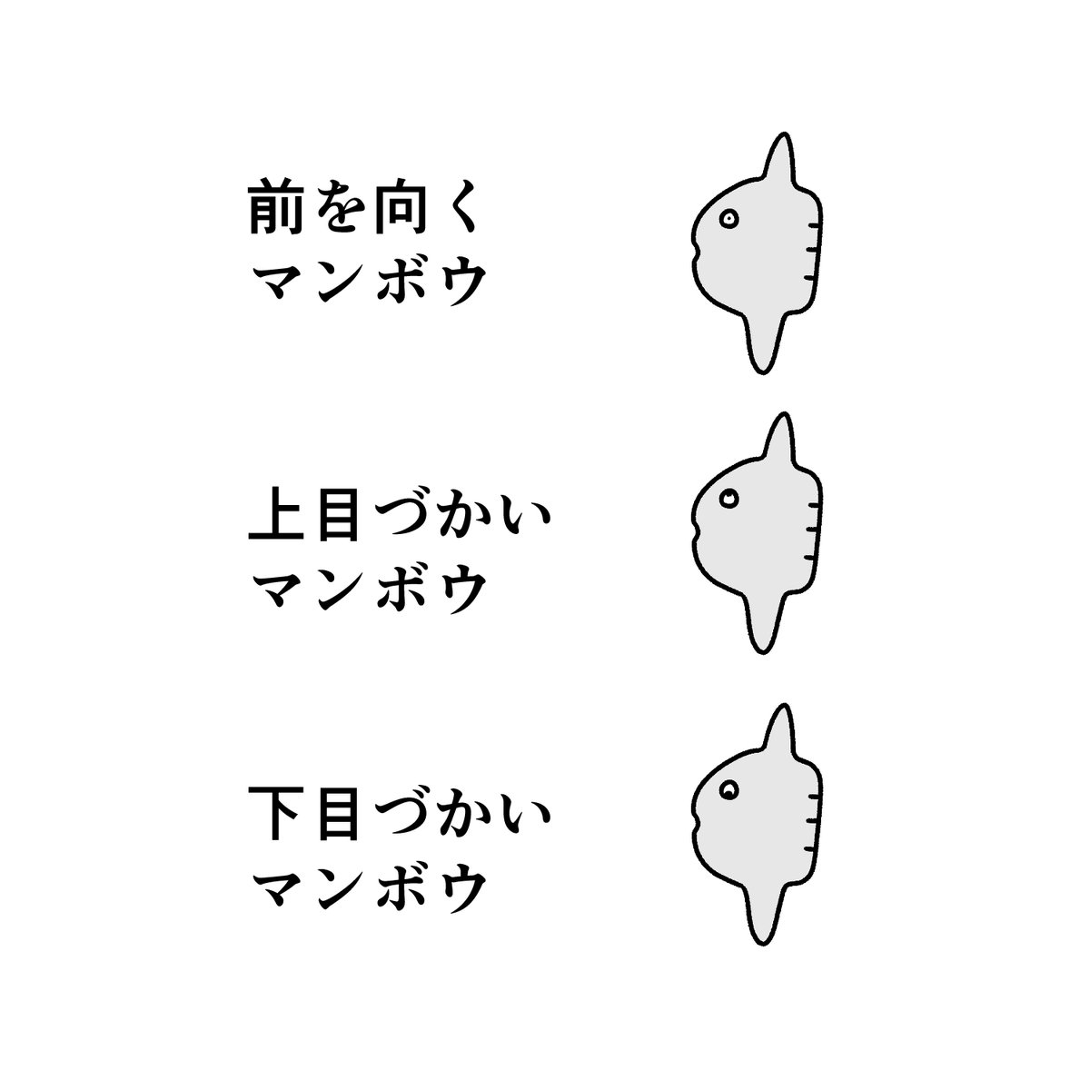 Study 反省 On Twitter マンボウの種類